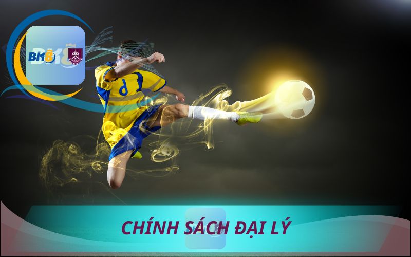 CHÍNH SÁCH ĐẠI KÝ BK8