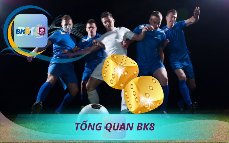 TỔNG QUAN VỀ NHÀ CÁI BK8