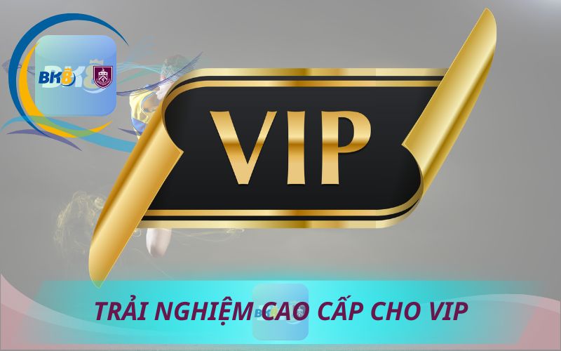 TRẢI NGHIỆM CAO CẤP CHO THÀNH VIÊN VIP BK8